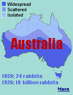 Englishman Thomas Austin imported 24 rabbits in 1859 and released them for hunting, and now Australia is overrun with billions of the pests.